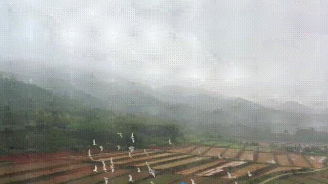 DƬ